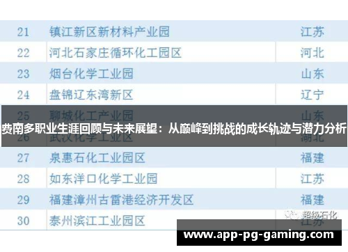 费南多职业生涯回顾与未来展望：从巅峰到挑战的成长轨迹与潜力分析