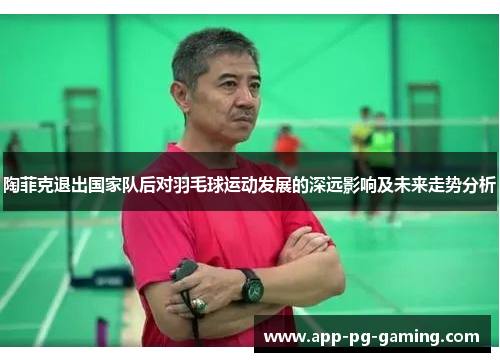 陶菲克退出国家队后对羽毛球运动发展的深远影响及未来走势分析 陶菲克退出国家队后对羽毛球运动发展的深远影响及未来走势分析