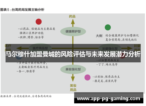 马尔穆什加盟曼城的风险评估与未来发展潜力分析 马尔穆什加盟曼城的风险评估与未来发展潜力分析